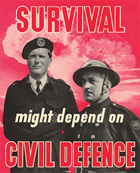 Cold War Survival poster